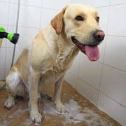 🐕 Dog Bath Sprayer with Soap Dispenser — 8-Mode Hose Attachment